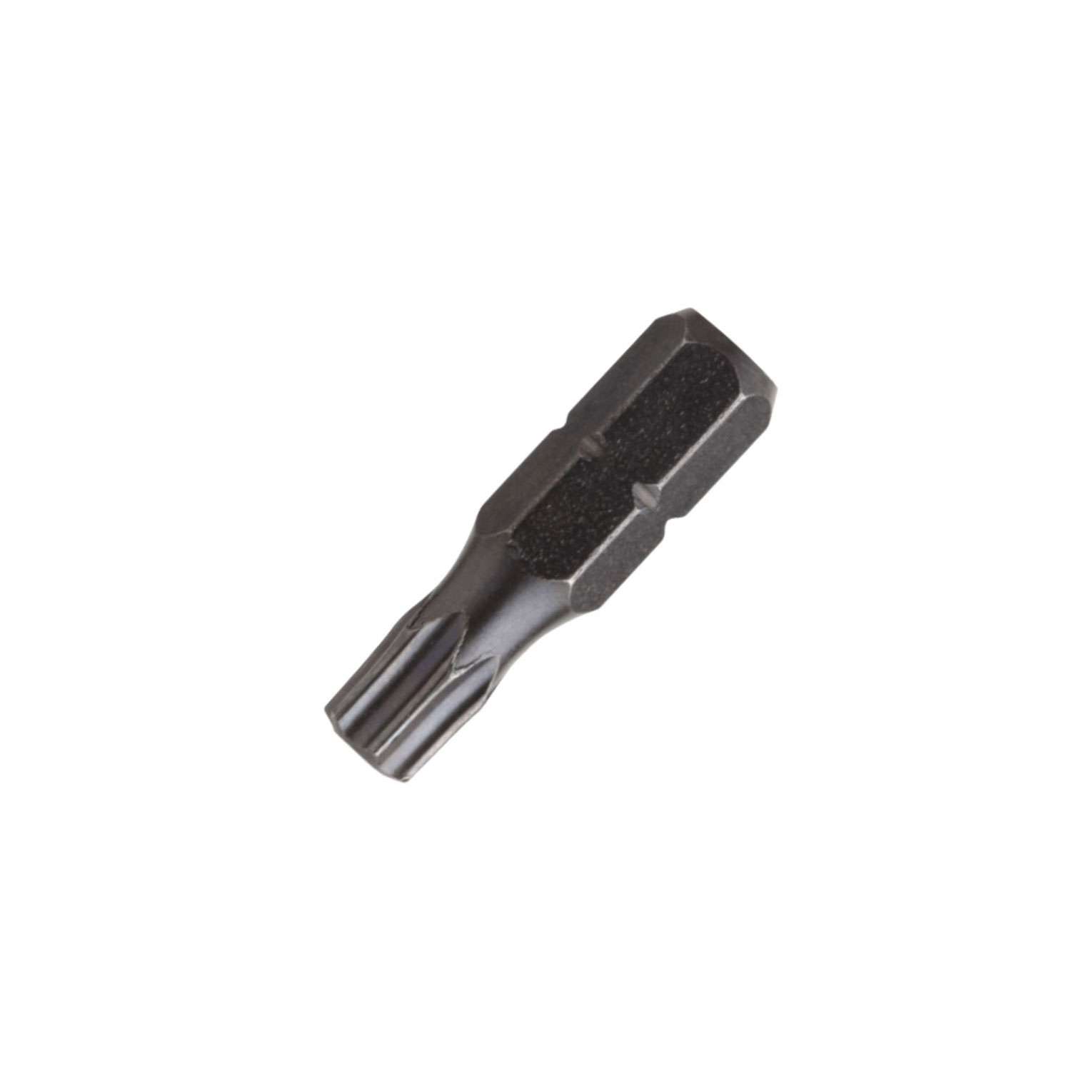 Antgalis-torx-20x25